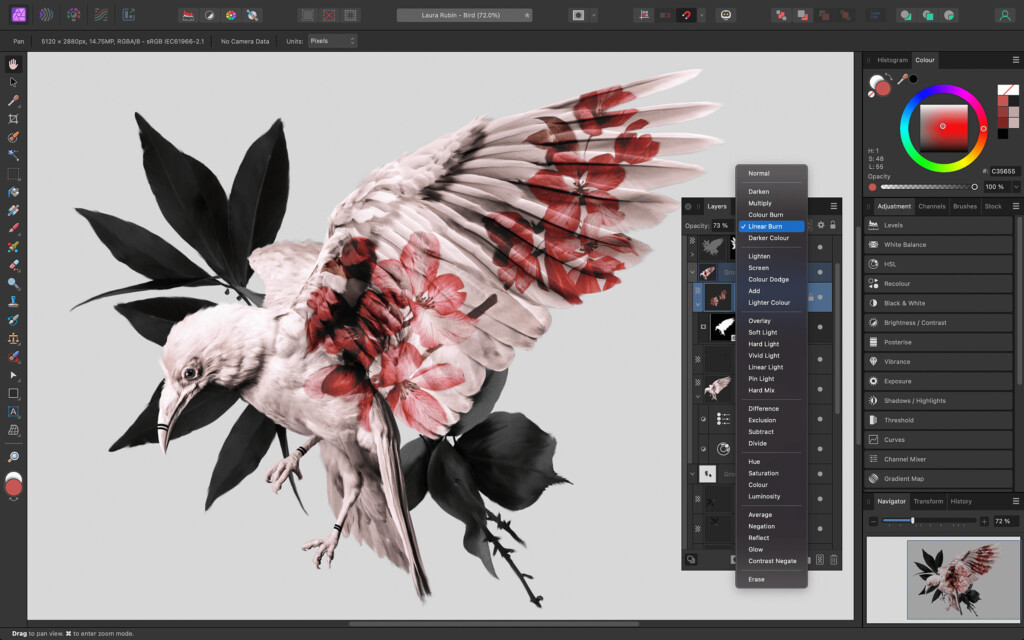 affinity photo